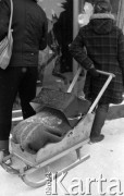 18-20.02.1985, Zakopane, Polska
Kobieta z sankami z budką od dziecięcego wózka na ośnieżonej ulicy.
Fot. Jarosław Tarań, zbiory Ośrodka KARTA [85-36] 
