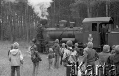 Wrzesień 1985, Puszcza Kampinoska, woj. Warszawa, Polska.
Grupa dzieci podczas wycieczki do puszczy kolejką wąskotorową.
Fot. Jarosław Tarań, zbiory Ośrodka KARTA [85-64]