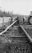 Kwiecień 1986, Starachowice, Polska.
Tartak i składnica drewna Nadleśnictwa Starachowice, cięcie drewnianych bali.
Fot. Jarosław Tarań, zbiory Ośrodka KARTA, [86-39]