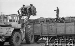 Kwiecień 1986, Starachowice, Polska.
Tartak i składnica drewna Nadleśnictwa Starachowice, załadunek drewna do wagonu towarowego.
Fot. Jarosław Tarań, zbiory Ośrodka KARTA, [86-39]