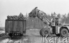 Kwiecień 1986, Starachowice, Polska.
Tartak i składnica drewna Nadleśnictwa Starachowice, załadunek drewna do wagonu towarowego.
Fot. Jarosław Tarań, zbiory Ośrodka KARTA, [86-39]