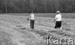 4.06.1986, Polska
Sianokosy, mężczyzna i kobieta grabiący siano na łące.
Fot. Jarosław Tarań, zbiory Ośrodka KARTA [86-69] 
