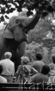 1988, Warszawa, Polska.
Ogród Zoologiczny, grupa ludzi przed wybiegiem słonia.
Fot. Jarosław Tarań, zbiory Ośrodka KARTA [88-37]