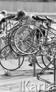 2.08.1988, Żyrardów, woj. Skierniewice, Polska
Kolarze MKS 