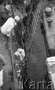 10.10.1988, Świnoujście, Polska
M/s 