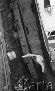 10.10.1988, Świnoujście, Polska
M/s 