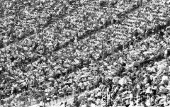 Sierpień 1989, Warszawa, Polska.
Stadion Dziesięciolecia, Międzynarodowy Kongres Świadków Jehowy.
Fot. Jarosław Tarań, zbiory Ośrodka KARTA [89-26] 

