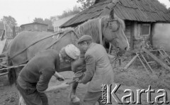 Wrzesień 1989, Korytów k/Żyrardowa, woj. Skierniewice, Polska
Kuźnia w Korytowie, kowal podkuwający konia.
Fot. Jarosław Tarań, zbiory Ośrodka KARTA [89-87]