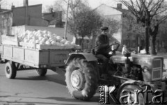 5.05.1989, Żyrardów, woj. Skierniewice, Polska
Mężczyzna wiozący kapustę na przyczepie traktora.
Fot. Jarosław Tarań, zbiory Ośrodka KARTA [89-75] 

