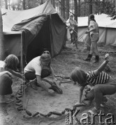 2.08.1968, Rońsko, woj. lubelskie, Polska.
Hufiec Wola podczas obozu Związku Harcerstwa Polskiego - dziewczęta układają przed namiotem krąg z szyszek, w tle harcerki.
Fot. Jarosław Tarań, zbiory Ośrodka KARTA