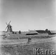 2.08.1968, Rońsko, woj. lubelskie, Polska.
Hufiec Wola podczas obozu Związku Harcerstwa Polskiego - spacer polną drogą, na drugim planie wiejskie chaty i wiatrak.
Fot. Jarosław Tarań, zbiory Ośrodka KARTA