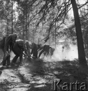 2.08.1968, Rońsko, woj. lubelskie, Polska.
Hufiec Wola podczas obozu Związku Harcerstwa Polskiego - harcerze w maskach gazowych podczas ćwiczeń.
Fot. Jarosław Tarań, zbiory Ośrodka KARTA