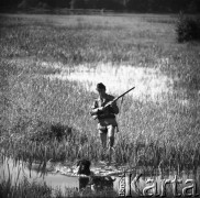 15.08.1968, Polska.
Polowanie na kaczki - myśliwy z psem przemierza mokradła.
Fot. Jarosław Tarań, zbiory Ośrodka KARTA
