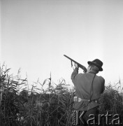 15.08.1968, Polska.
Polowanie na kaczki - myśliwy strzela do kaczek.
Fot. Jarosław Tarań, zbiory Ośrodka KARTA