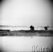 15.08.1968, Polska.
Polowanie na kaczki - widok na mokradła, mgła unosząca się nad wodą.
Fot. Jarosław Tarań, zbiory Ośrodka KARTA


