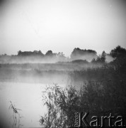 15.08.1968, Polska.
Polowanie na kaczki - widok na mokradła, mgła unosząca się nad wodą.
Fot. Jarosław Tarań, zbiory Ośrodka KARTA