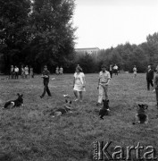 Wrzesień 1968, Warszawa, Polska.
Tresura psów na Polu Mokotowskim - leżące zwierzeta czekają na komendę.
Fot. Jarosław Tarań, zbiory Ośrodka KARTA