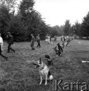 Wrzesień 1968, Warszawa, Polska.
Tresura psów na Polu Mokotowskim - siedzące psy czekają na komendę.
Fot. Jarosław Tarań, zbiory Ośrodka KARTA