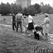 Wrzesień 1968, Warszawa, Polska.
Tresura psów na Polu Mokotowskim - nauka prawidłowego chodzenia na smyczy.
Fot. Jarosław Tarań, zbiory Ośrodka KARTA