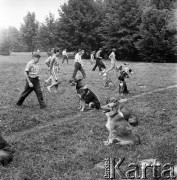 Wrzesień 1968, Warszawa, Polska.
Tresura psów na Polu Mokotowskim - właściciele zwierząt wydają komendy swoim psom.
Fot. Jarosław Tarań, zbiory Ośrodka KARTA