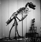 26.06.1968, Warszawa, Polska.
Wystawa 