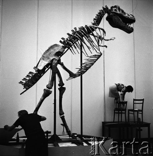 26.06.1968, Warszawa, Polska.
Wystawa 