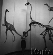 26.06.1968, Warszawa, Polska.
Wystawa 