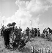 18.08.1968, Polska.
Film 