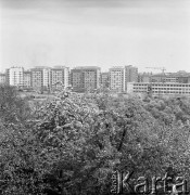 25.04.1968, Warszawa, Polska.
Kwitnące drzewa. W oddali widoczne jest osiedle mieszkaniowe.
Fot. Jarosław Tarań, zbiory Ośrodka KARTA