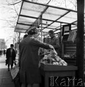 25.04.1968, Warszawa, Polska.
Plac Konstytucji - uliczne stoisko z warzywami i owocami. Klientka ogląda oferowany przez sprzedawcę towar.
Fot. Jarosław Tarań, zbiory Ośrodka KARTA