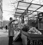 25.04.1968, Warszawa, Polska.
Plac Konstytucji - uliczne stoisko z warzywami i owocami. Sprzedawca zrasza wodą towar. W oddali widoczna jest zabudowa Marszałkowskiej Dzielnicy Mieszkaniowej.  
Fot. Jarosław Tarań, zbiory Ośrodka KARTA
