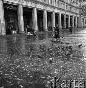 Październik 1968, Warszawa, Polska.
Plac Konstytucji jesienią - gołębie na chodniku pokrytym liśćmi spadającymi z drzew. Na drugim planie - przechodnie oraz fragment pierzei placu. 
Fot. Jarosław Tarań, zbiory Ośrodka KARTA