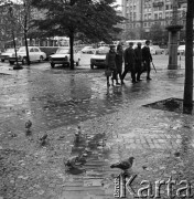 Październik 1968, Warszawa, Polska.
Plac Konstytucji jesienią - gołębie na chodniku pokrytym liśćmi spadającymi z drzew. Na drugim planie - przechodnie, zaparkowane samochody, drzewa. W oddali widoczny jest fragment pierzei placu. 
Fot. Jarosław Tarań, zbiory Ośrodka KARTA