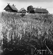 04.08.1968, Olsztynek, woj. Olsztyn, Polska.
Skansen w Olsztynku. Zagroda rybacka od strony stawu.
Fot. Jarosław Tarań, zbiory Ośrodka KARTA