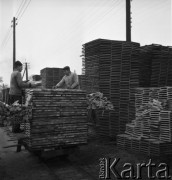 07.11.1968, Hajnówka, woj. Białystok, Polska.
Pracownicy Zakładów Przemysłu Drzewnego.
Fot. Jarosław Tarań, zbiory Ośrodka KARTA
