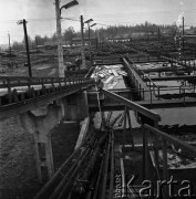 07.11.1968, Hajnówka, woj. Białystok, Polska.
Zakłady Przemysłu Drzewnego w Hajnówce, pracownik nadzorujący spław drewnianych bali.
Fot. Jarosław Tarań, zbiory Ośrodka KARTA
