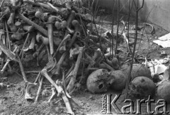 10.04.1963, Warszawa, Polska.
Eksuhacja zwłok.
Fot. Jarosław Tarań, zbiory Ośrodka KARTA [63-38]

