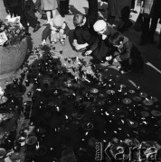 02.11.1968, Warszawa, Polska.
Święto Zmarłych na Starych Powązkach. Dzieci zapalające znicze w hołdzie poległym podczas II wojny światowej.
Fot. Jarosław Tarań, zbiory Ośrodka KARTA