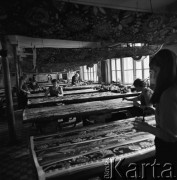 1968, Milanówek, Polska.
Zakłady Jedwabiu Naturalnego w Milanówku koło Warszawy. Pracownice ręcznie malujące jedwab w malarni jedwabiu.
Fot. Jarosław Tarań, zbiory Ośrodka KARTA
