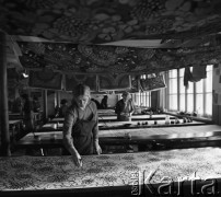 1968, Milanówek, Polska.
Zakłady Jedwabiu Naturalnego w Milanówku koło Warszawy. Pracownice ręcznie malujące jedwab w malarni jedwabiu.
Fot. Jarosław Tarań, zbiory Ośrodka KARTA
