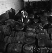 1968, Okocim, woj. tarnowskie, Polska.
Zakłady piwowarskie Okocim. Pracownica wynosząca beczki z hali produkcyjnej.
Fot. Jarosław Tarań, zbiory Ośrodka KARTA