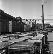 1968, Okocim, woj. tarnowskie, Polska.
Zakłady piwowarskie Okocim. Pracownik liczący ilość klatek, w tle budynki Browaru.
Fot. Jarosław Tarań, zbiory Ośrodka KARTA