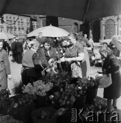 1968, Kraków, Warszawa, Polska.
Rynek Główny w Krakowie. Kobiety kupujące tulipany u krakowskiej handlarki, w tle tłum ludzi stojący pod Kościołem Mariackim.
Fot. Jarosław Tarań, zbiory Ośrodka KARTA