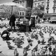 1968, Kraków, Polska.
Rynek Główny w Krakowie. Na pierwszym planie stragan, gdzie można kupić karmę dla ptaków za 1 złoty, wokół gołębie, w tle ulica i zabytkowe kamienice.
Fot. Jarosław Tarań, zbiory Ośrodka KARTA