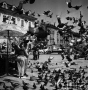 1968, Kraków, Polska.
Rynek Główny w Krakowie. Stragan, gdzie można kupić karmę dla ptaków za jeden złoty, a wokół niego latające gołębie i chłopiec karmiący ptaki, w tle zabytkowe kamienice.
Fot. Jarosław Tarań, zbiory Ośrodka KARTA