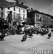 1968, Kraków, Polska.
Rynek Główny w Krakowie. Stragan, gdzie można kupić karmę dla ptaków za jeden złoty, a wokół niego latające gołębie i chłopiec karmiący ptaki, w tle zabytkowe kamienice.
Fot. Jarosław Tarań, zbiory Ośrodka KARTA