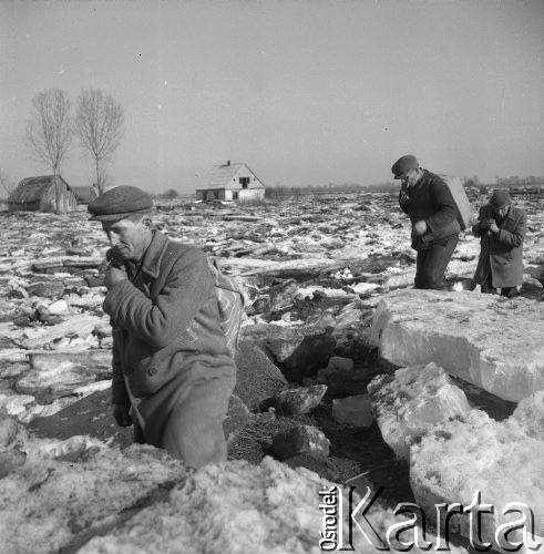 28.03.1963, okolice Maciejowic, Polska.
Mieszkańcy wsi ewakuują się wraz ze swoim dobytkiem w czasie powodzi.
Fot. Jarosław Tarań, zbiory Ośrodka KARTA [63-131]

