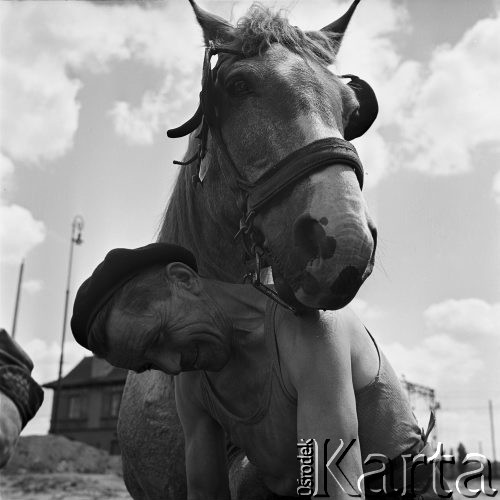 Czerwiec 1968, Warszawa, Polska.
Kowal podkuwający konia.
Fot. Jarosław Tarań, zbiory Ośrodka KARTA