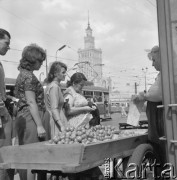 Wrzesień 1963, Warszawa, Polska.
Uliczny handel pomidorami. W tle Pałac Kultury i Nauki.
Fot. Jarosław Tarań, zbiory Ośrodka KARTA [63-100]

