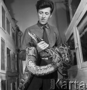 Grudzień 1968, Warszawa, Polska.
Dr Ryszard Bielawski z oswojonym pytonem.
Fot. Jarosław Tarań, zbiory Ośrodka KARTA